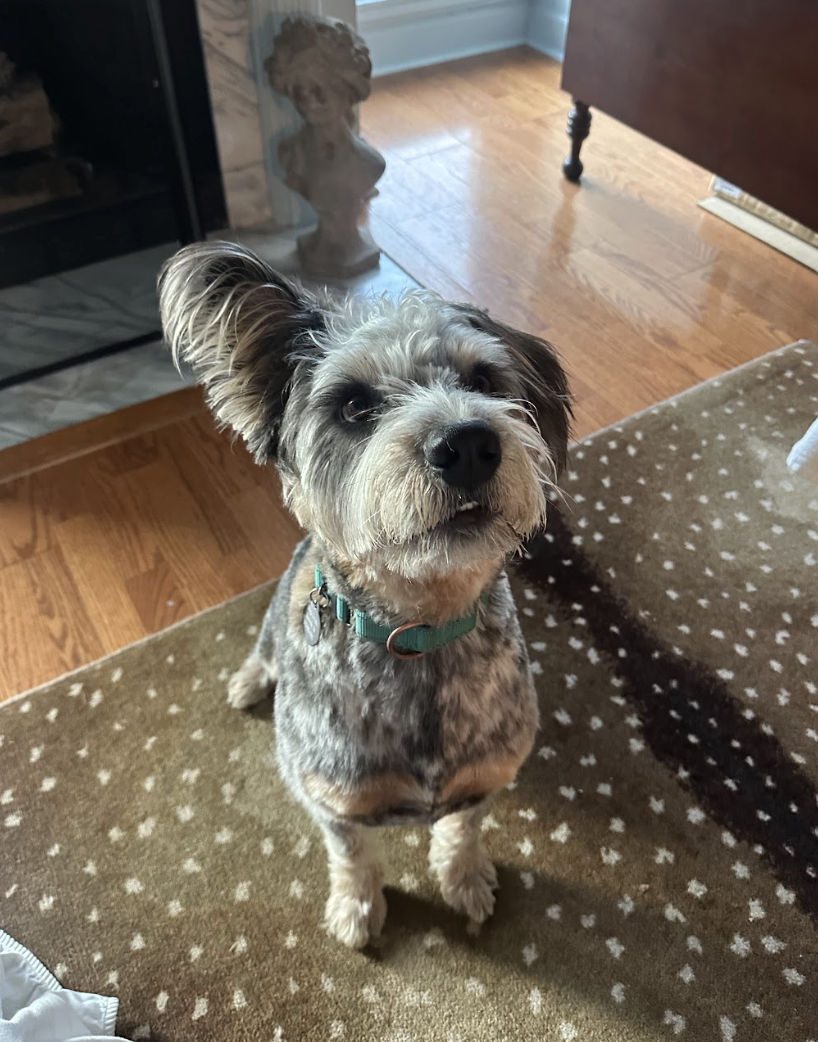 Screenshot 2026-04-22 at 6.01.11 PM.png