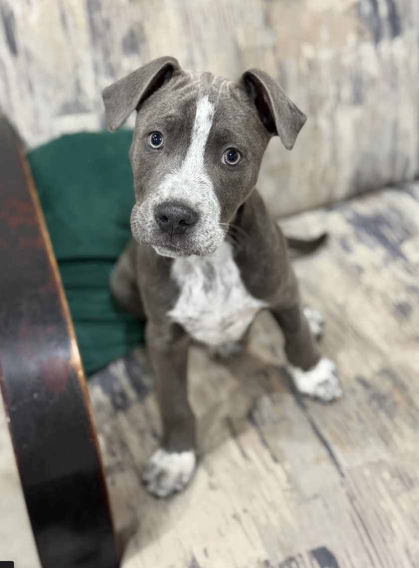 Screenshot 2026-01-08 at 1.30.00 PM.png