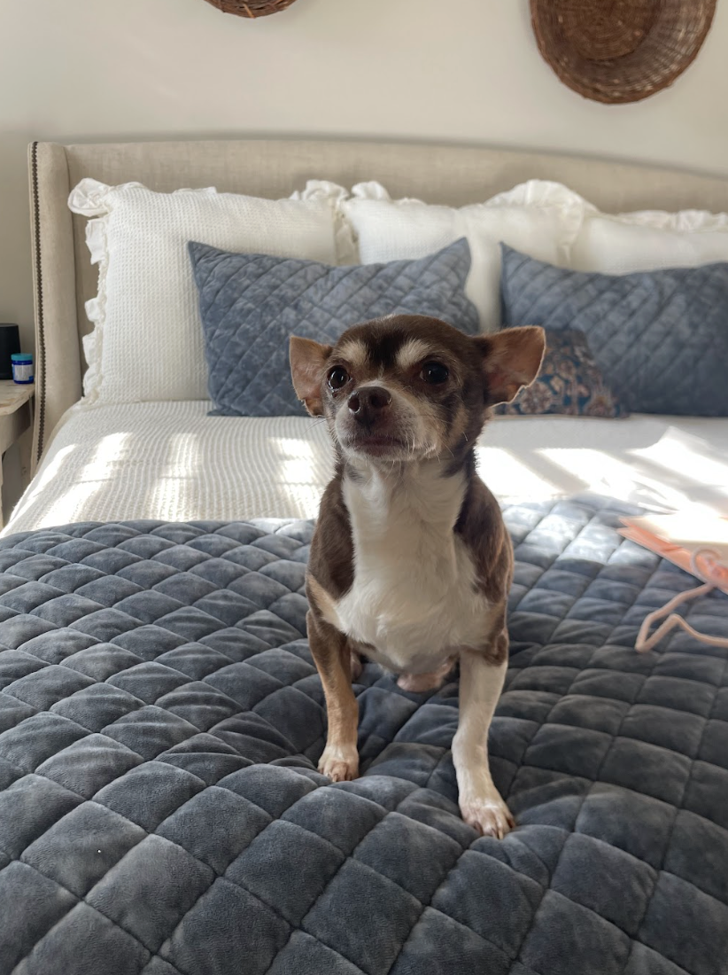 Screenshot 2026-02-05 at 1.52.04 PM.png