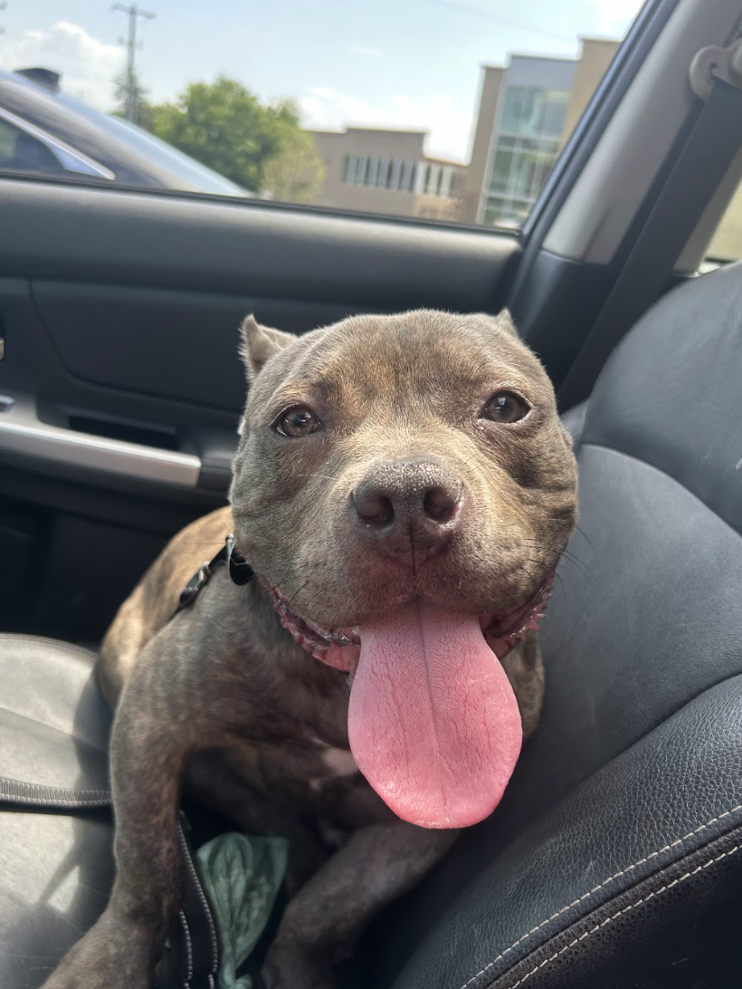 Screenshot 2026-04-22 at 2.52.45 PM.png