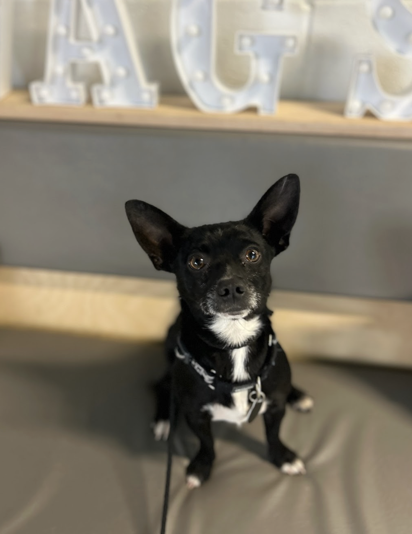 Screenshot 2026-01-14 at 1.39.31 PM.png