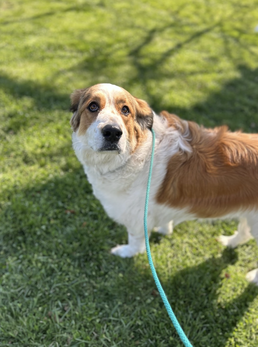 Screenshot 2026-03-18 at 4.20.31 PM.png