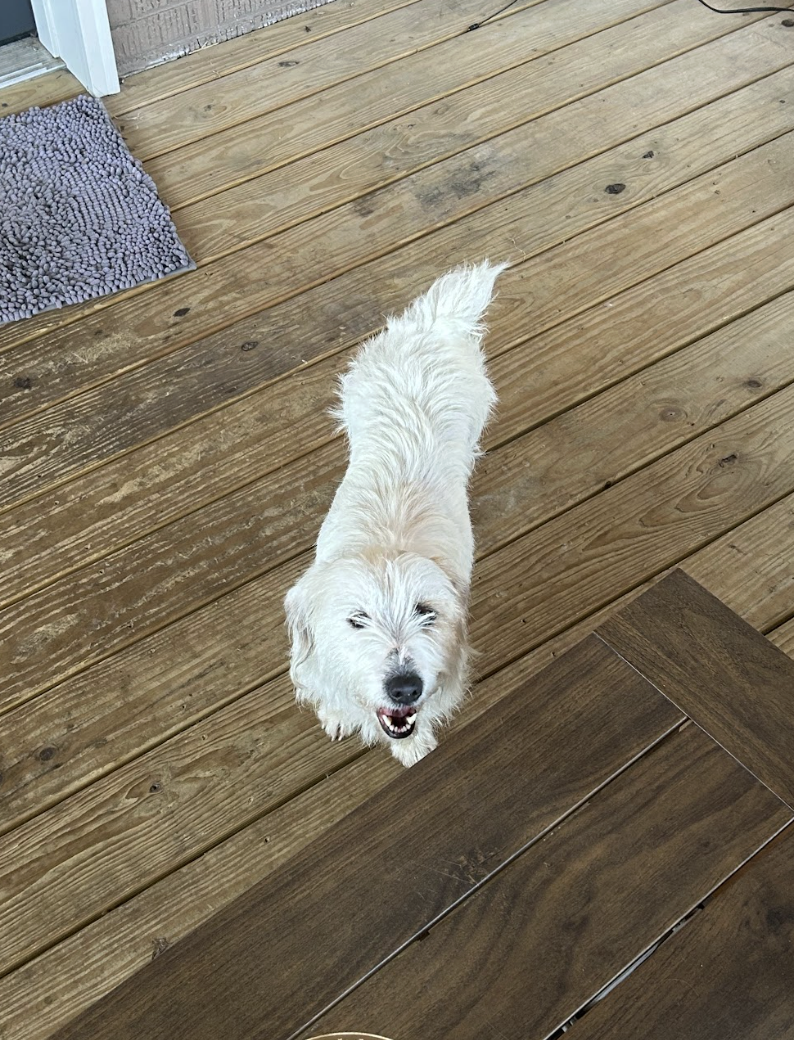 Screenshot 2026-03-21 at 2.18.20 PM.png