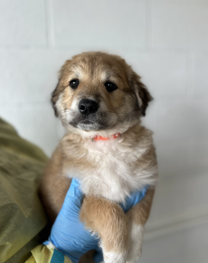 Screenshot 2026-04-16 at 4.10.54 PM.png