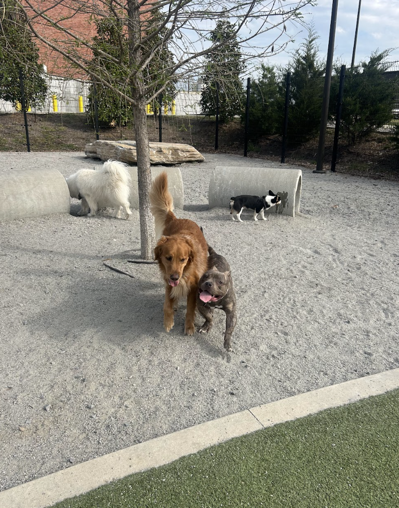 Screenshot 2026-04-22 at 2.52.36 PM.png