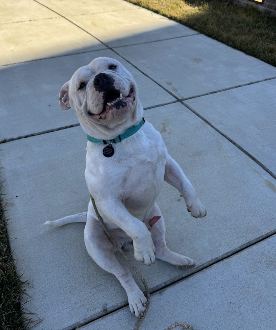 Screenshot 2026-02-16 at 6.07.55 PM.png