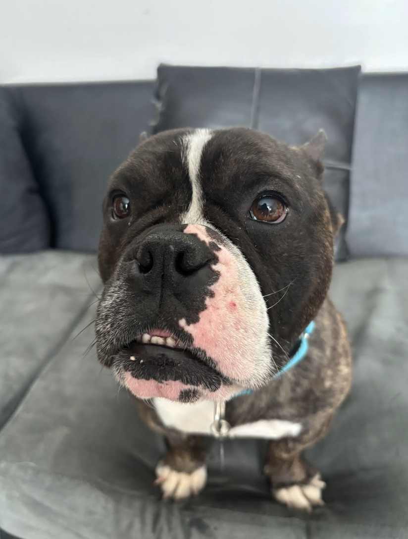 Screenshot 2026-04-22 at 2.47.33 PM.png