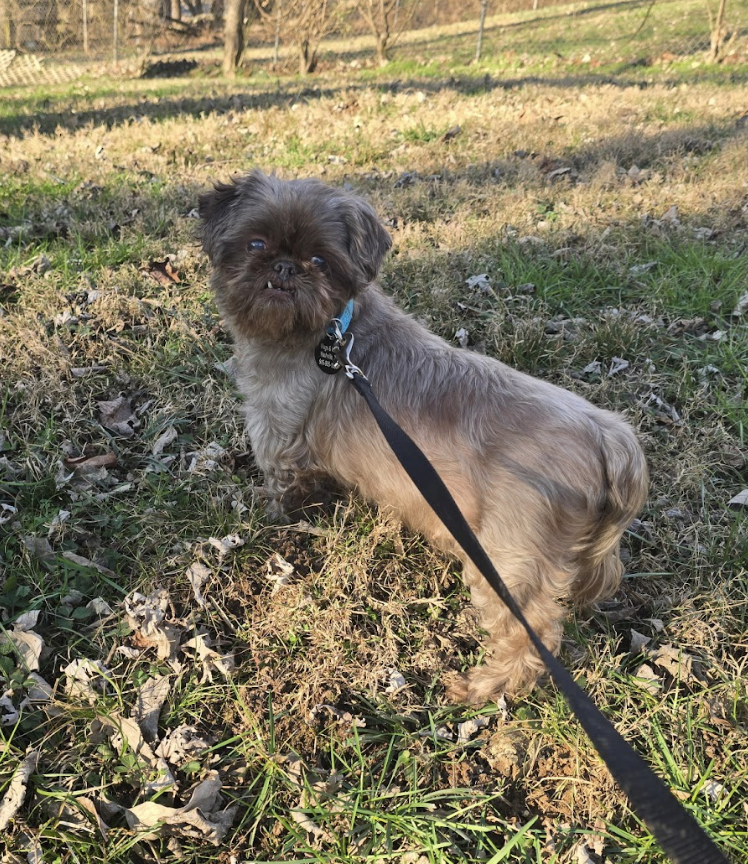 Screenshot 2026-01-26 at 12.23.15 PM.png