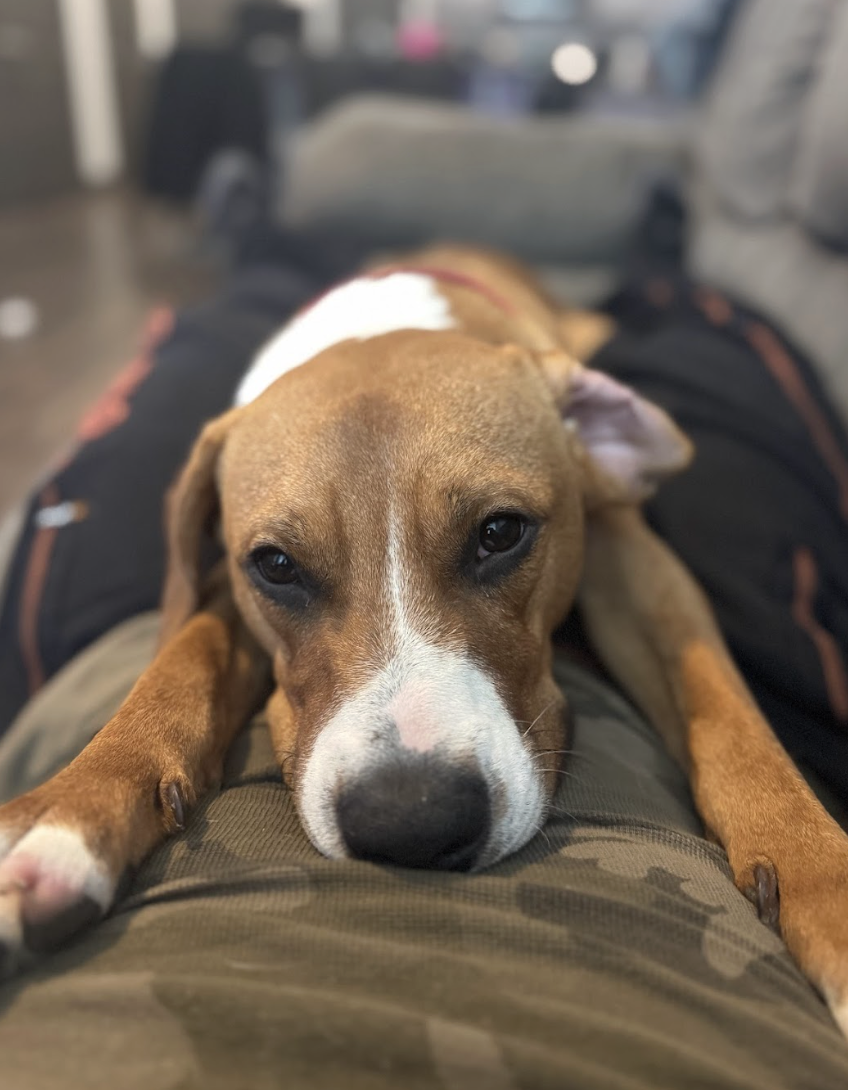 Screenshot 2026-03-20 at 4.10.53 PM.png