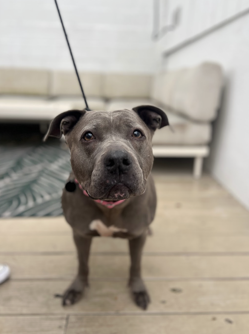 Screenshot 2026-01-15 at 1.37.33 PM.png