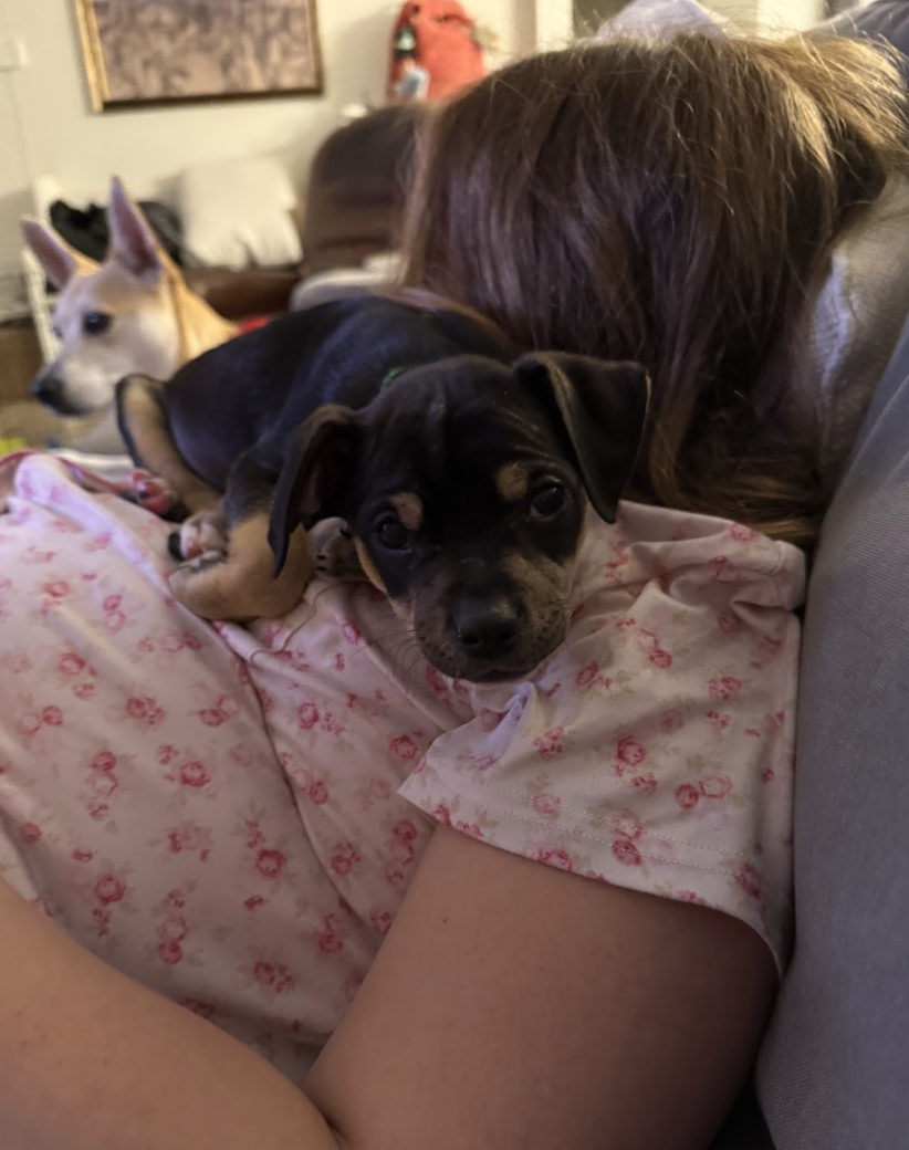 Screenshot 2026-04-23 at 2.14.24 PM.png