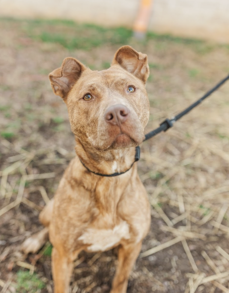 Screenshot 2026-02-25 at 1.08.37 PM.png