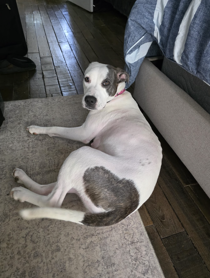 Screenshot 2026-04-22 at 6.13.54 PM.png