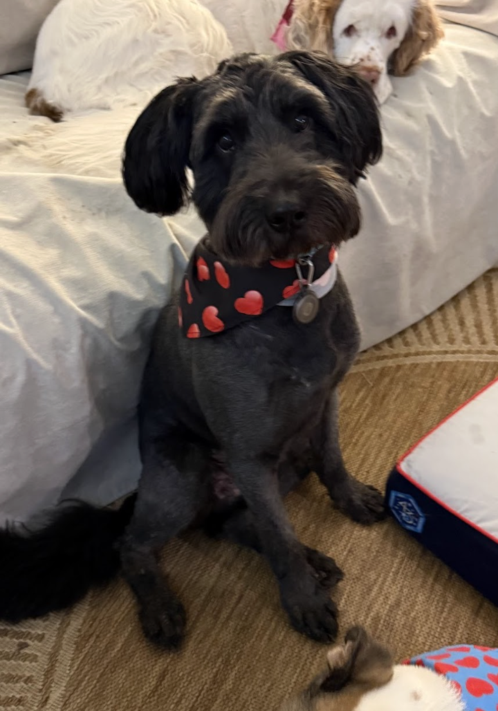 Screenshot 2026-02-07 at 7.41.11 AM.png