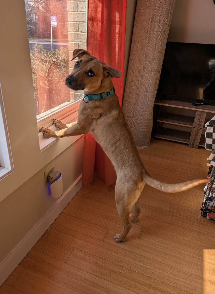 Screenshot 2026-01-14 at 9.12.27 PM.png