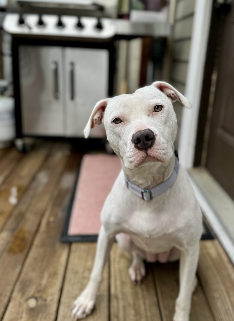 Screenshot 2025-12-16 at 2.58.42 PM.png