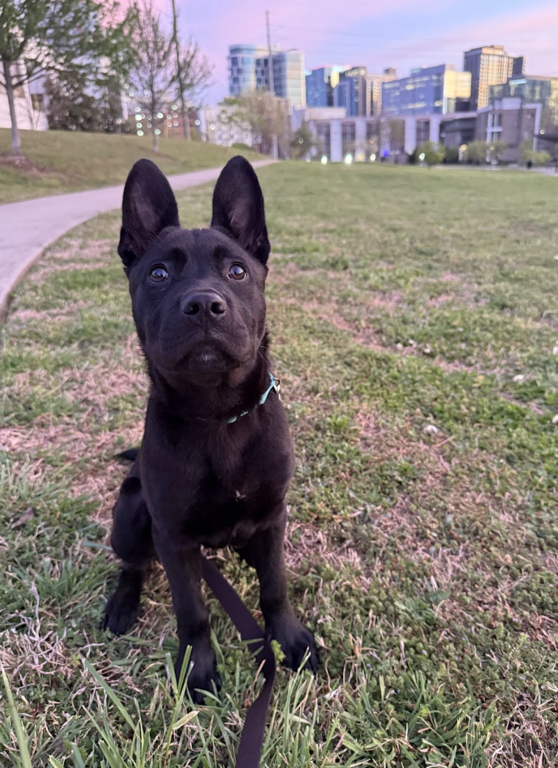 Screenshot 2026-04-23 at 7.37.51 PM.png