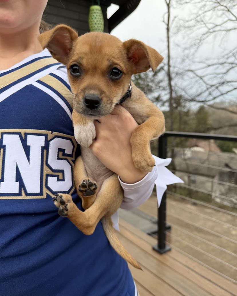 Screenshot 2026-02-26 at 12.52.02 PM.png