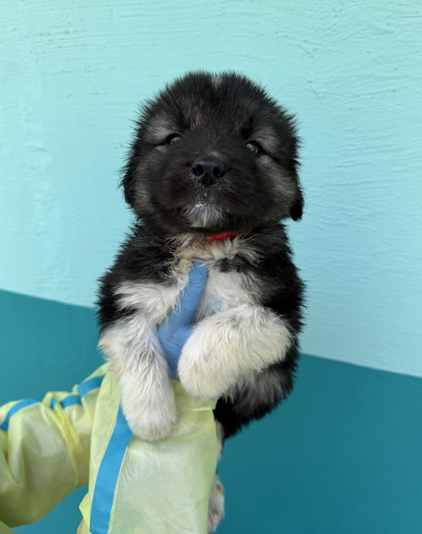 Screenshot 2026-04-13 at 2.40.27 PM.png