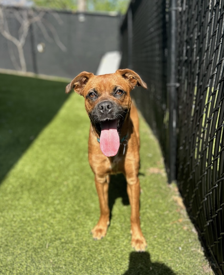 Screenshot 2026-03-20 at 2.28.30 PM.png