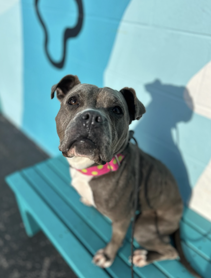 Screenshot 2026-02-25 at 12.58.37 PM.png