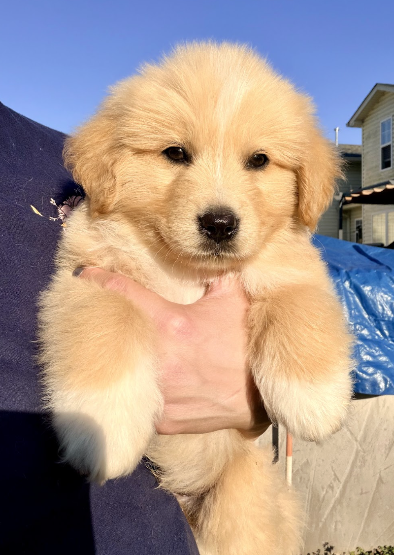 Screenshot 2026-04-16 at 4.54.59 PM.png