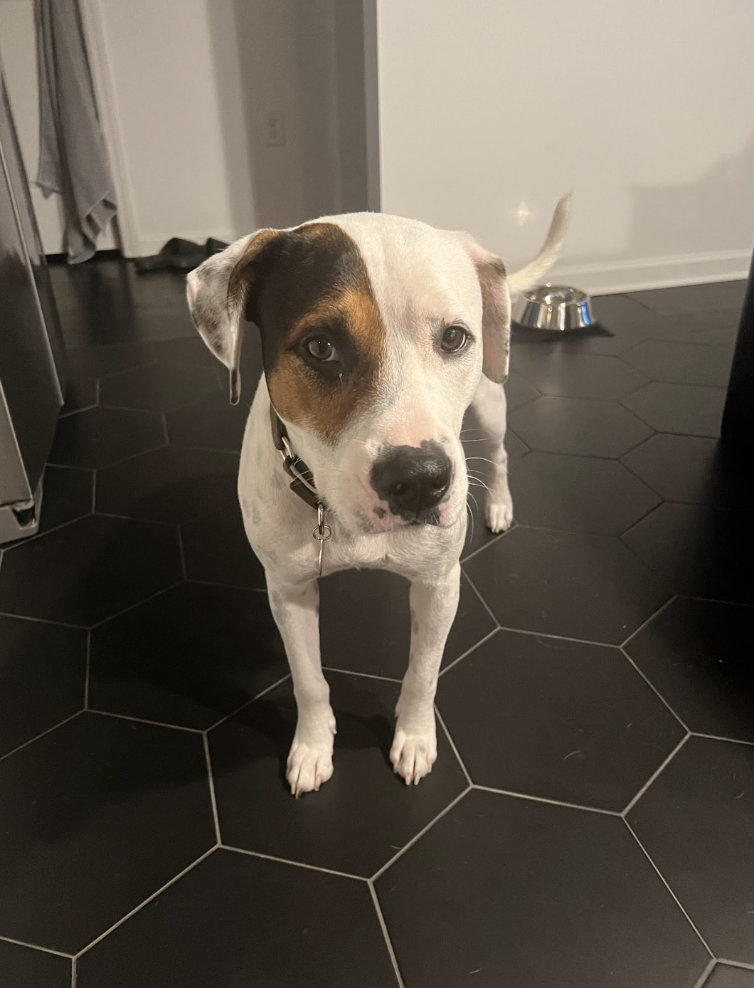 Screenshot 2025-11-21 at 2.27.28 PM.png