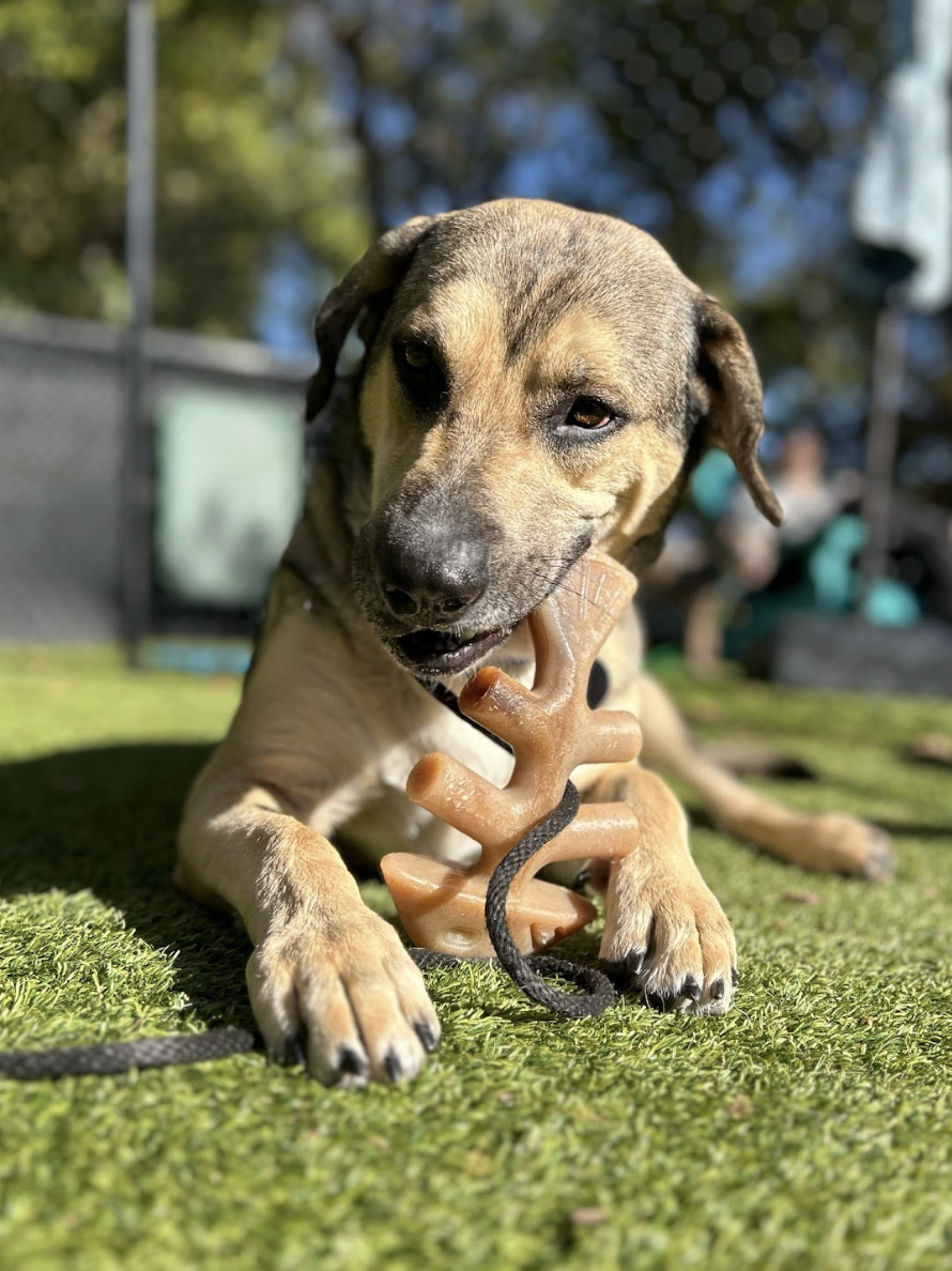 Screenshot 2026-01-14 at 9.08.59 PM.png