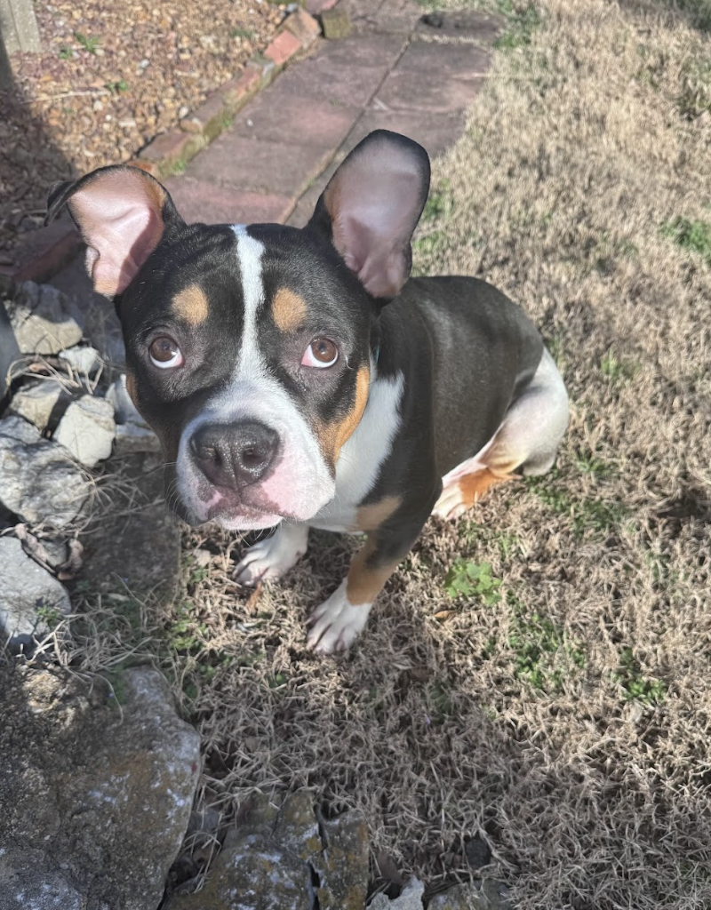 Screenshot 2026-03-06 at 2.21.34 PM.png