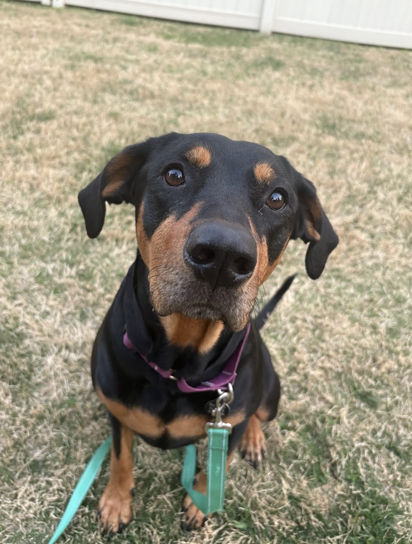 Screenshot 2026-04-22 at 4.53.36 PM.png