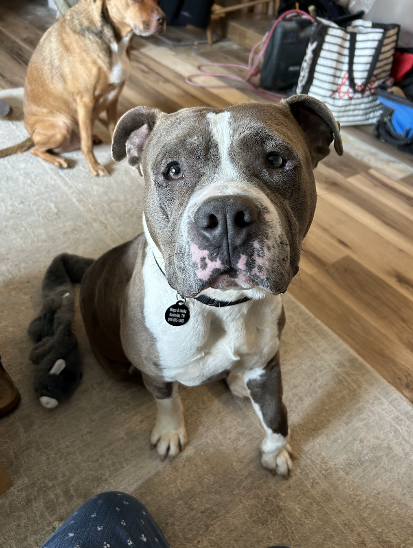 Screenshot 2026-03-20 at 4.00.18 PM.png