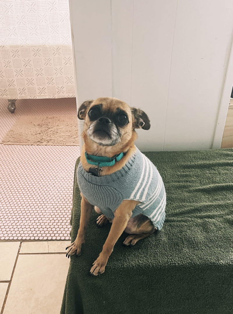 Screenshot 2026-01-14 at 9.34.09 PM.png