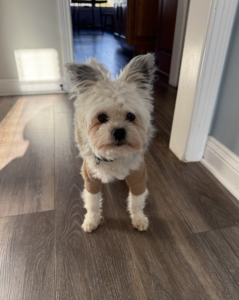 Screenshot 2026-01-14 at 2.07.44 PM.png