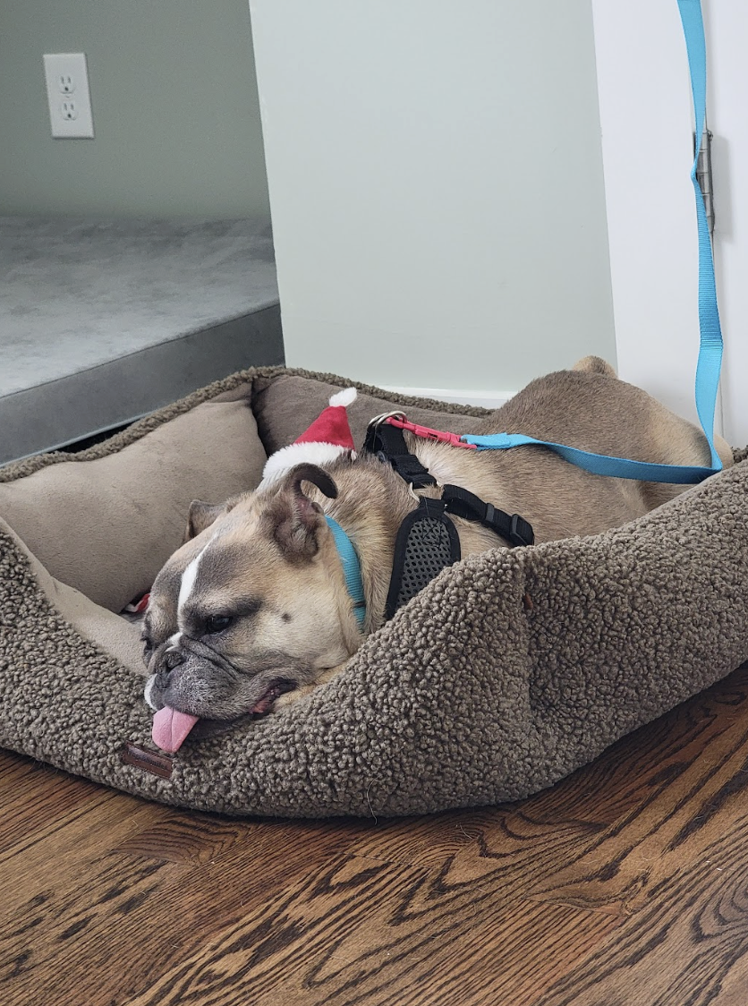 Screenshot 2026-01-14 at 2.29.12 PM.png