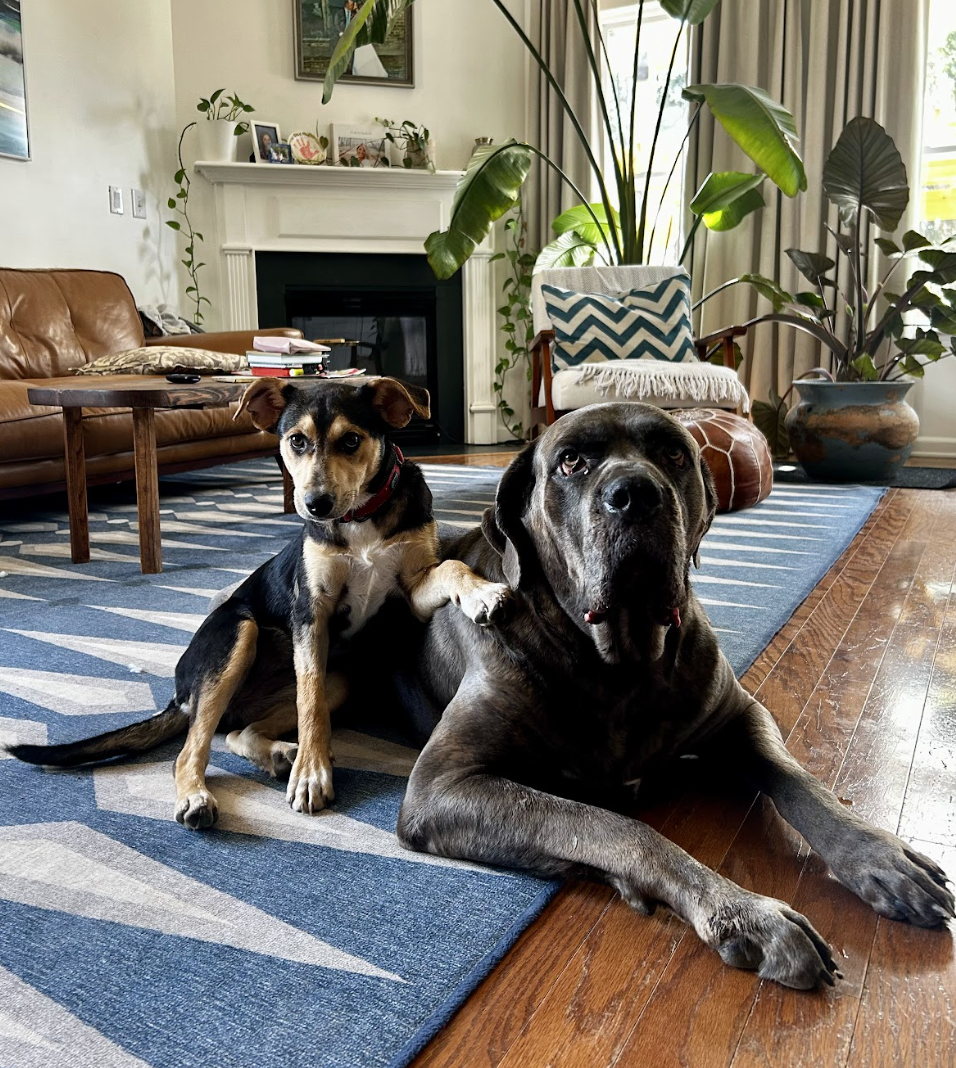 Screenshot 2026-04-23 at 7.33.34 PM.png