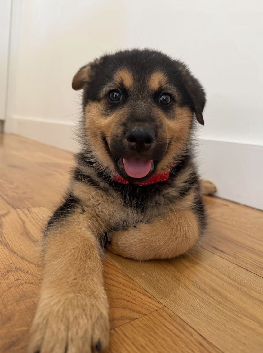 Screenshot 2026-04-10 at 3.10.56 PM.png