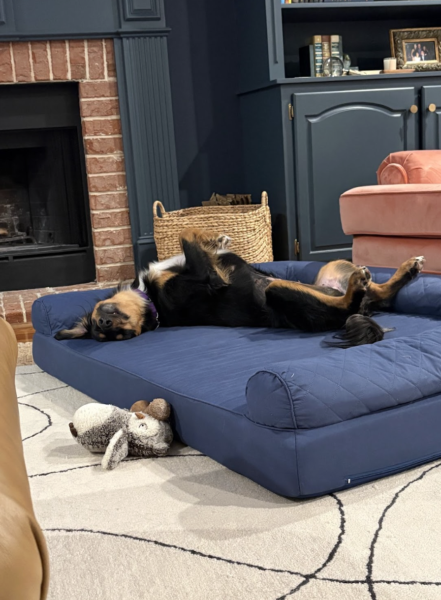 Screenshot 2026-01-14 at 9.25.47 PM.png