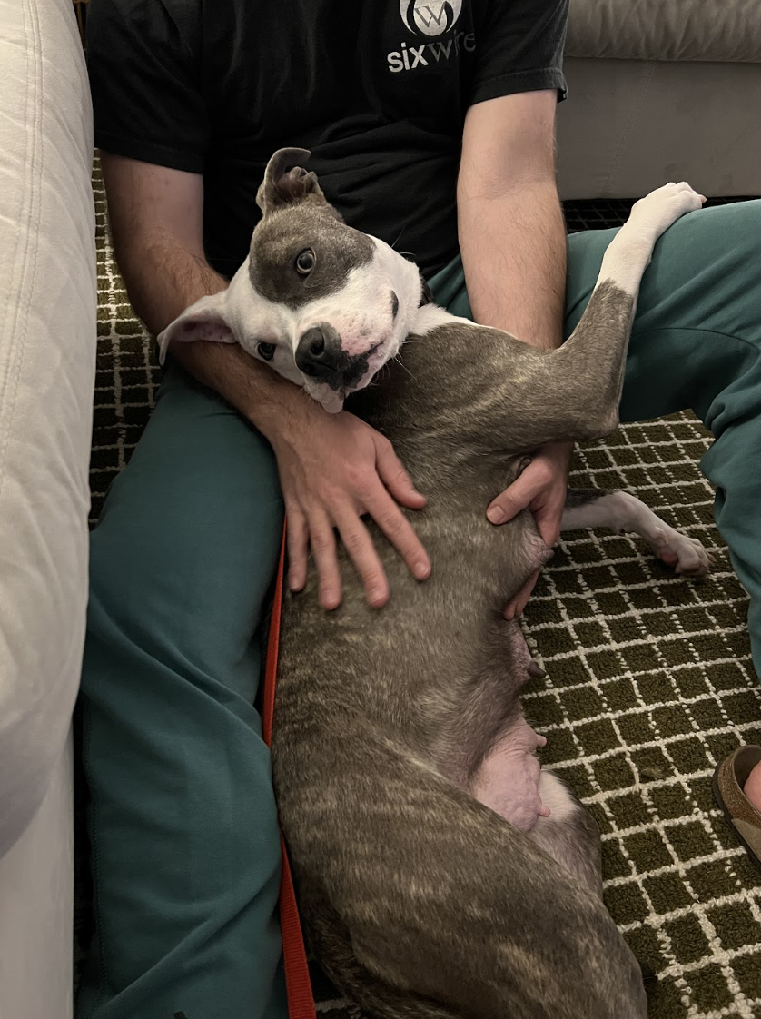 Screenshot 2026-03-27 at 4.48.09 PM.png