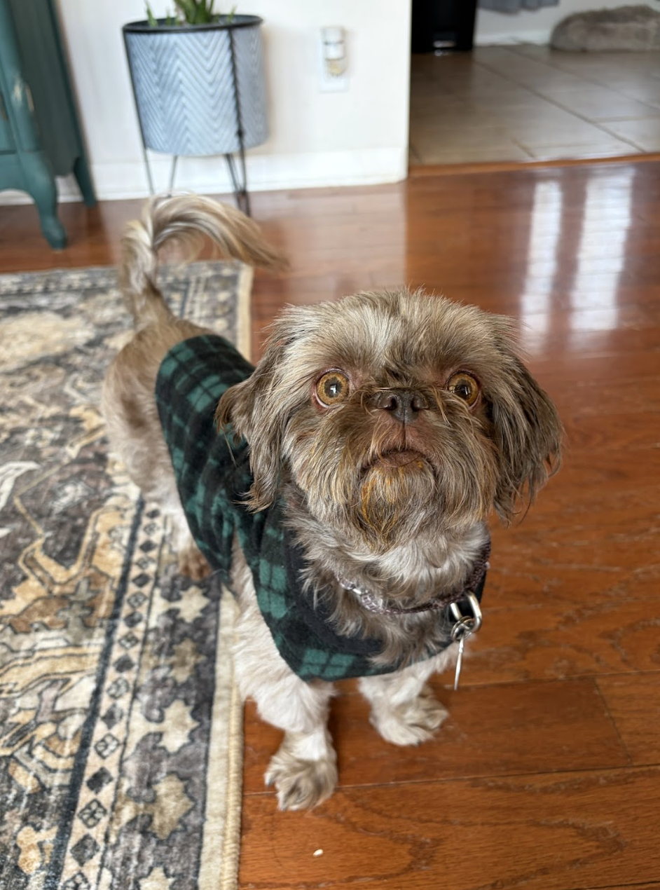 Screenshot 2026-01-26 at 12.17.54 PM.png