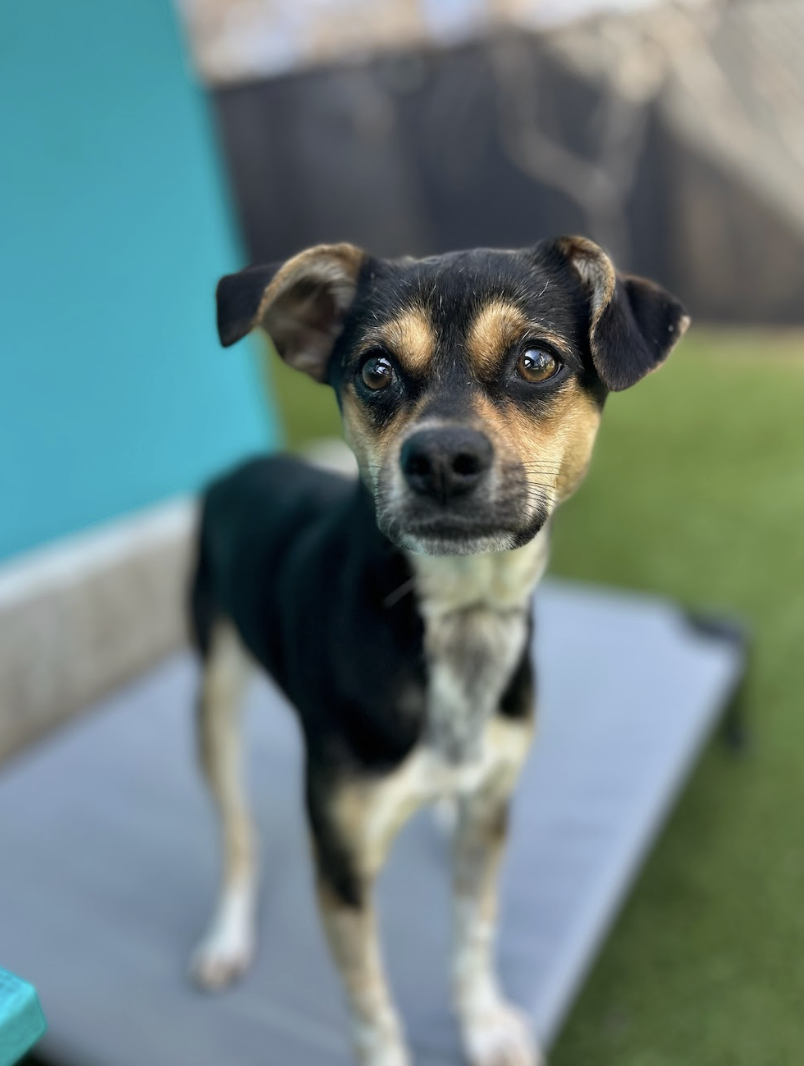 Screenshot 2026-02-12 at 1.44.13 PM.png