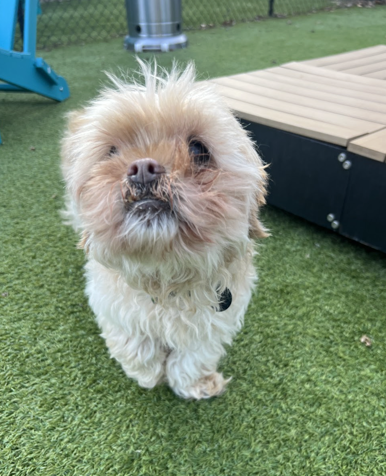 Screenshot 2026-03-06 at 2.47.39 PM.png