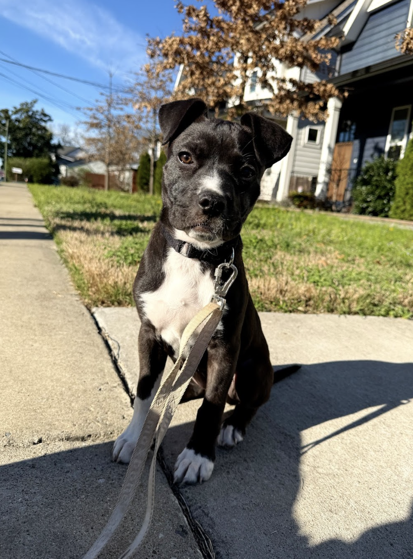 Screenshot 2026-04-03 at 1.22.32 PM.png