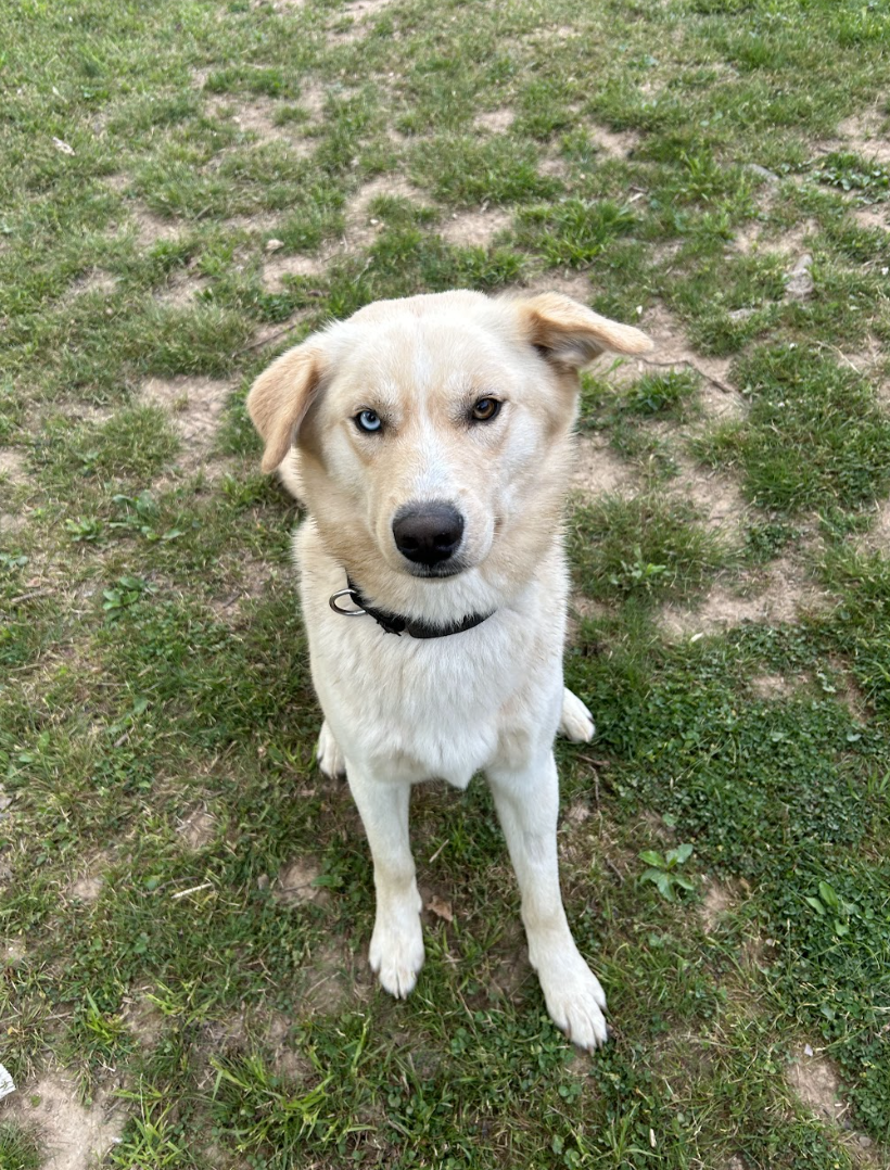 Screenshot 2026-04-22 at 5.22.38 PM.png