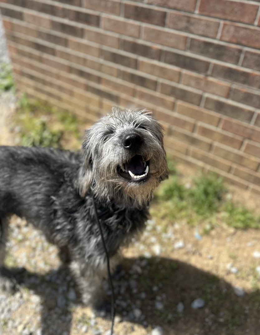 Screenshot 2026-03-14 at 4.48.57 PM.png