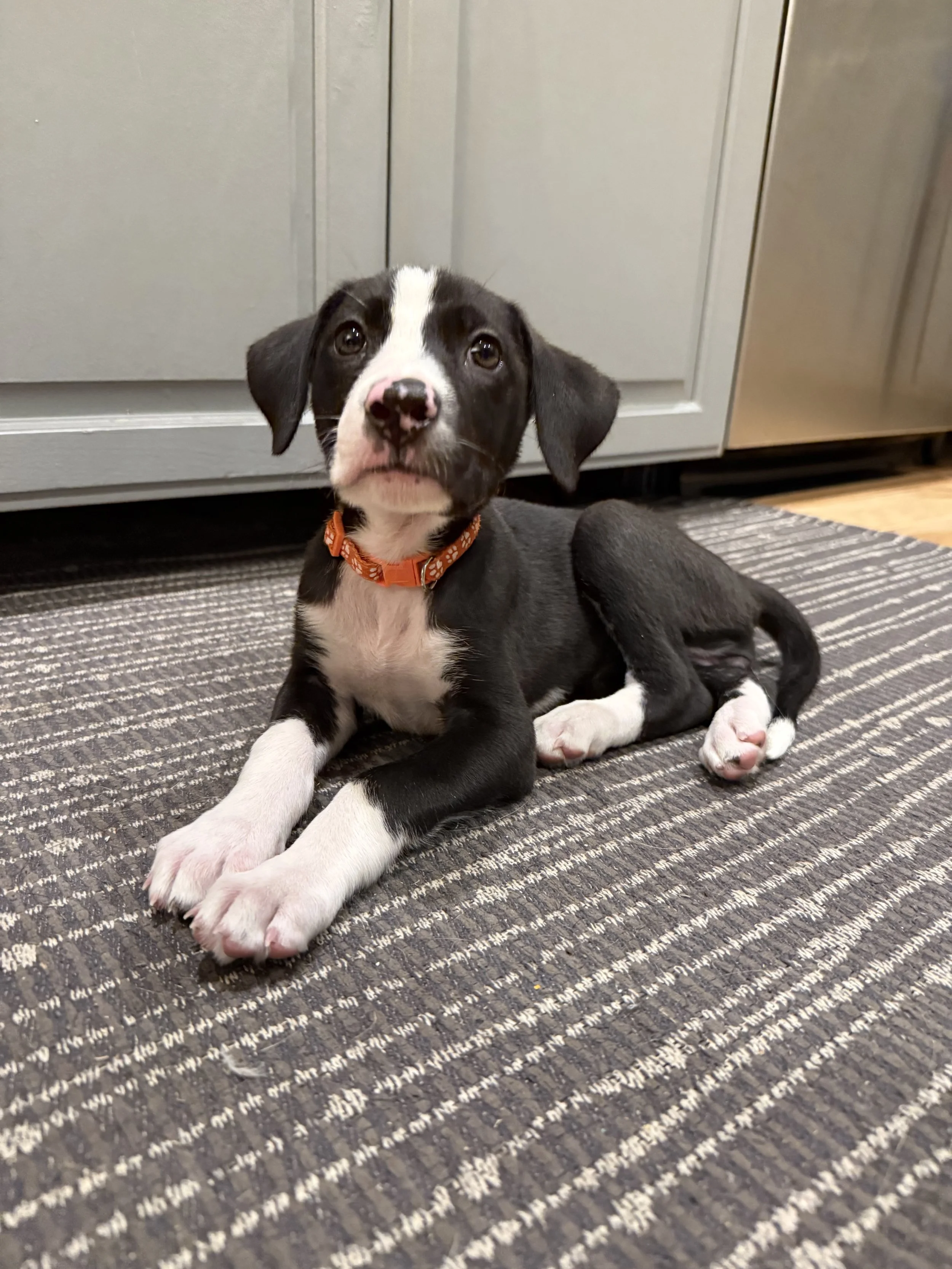 Sabine