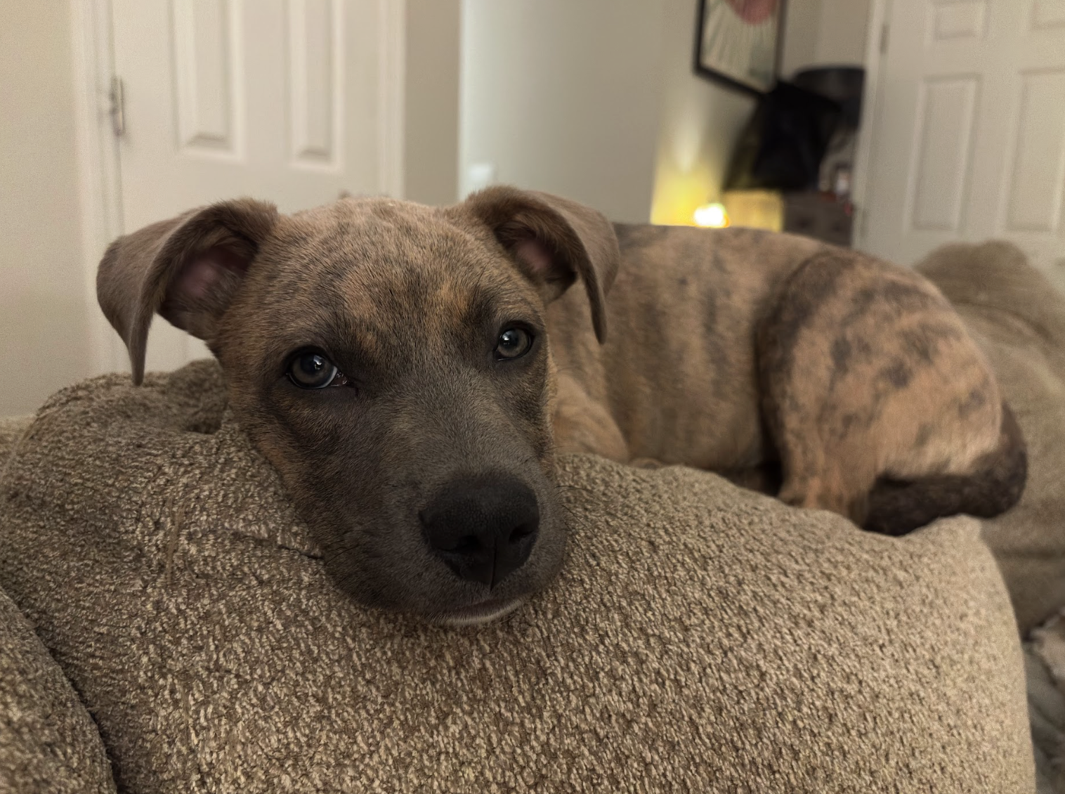 Screenshot 2026-02-20 at 4.14.30 PM.png