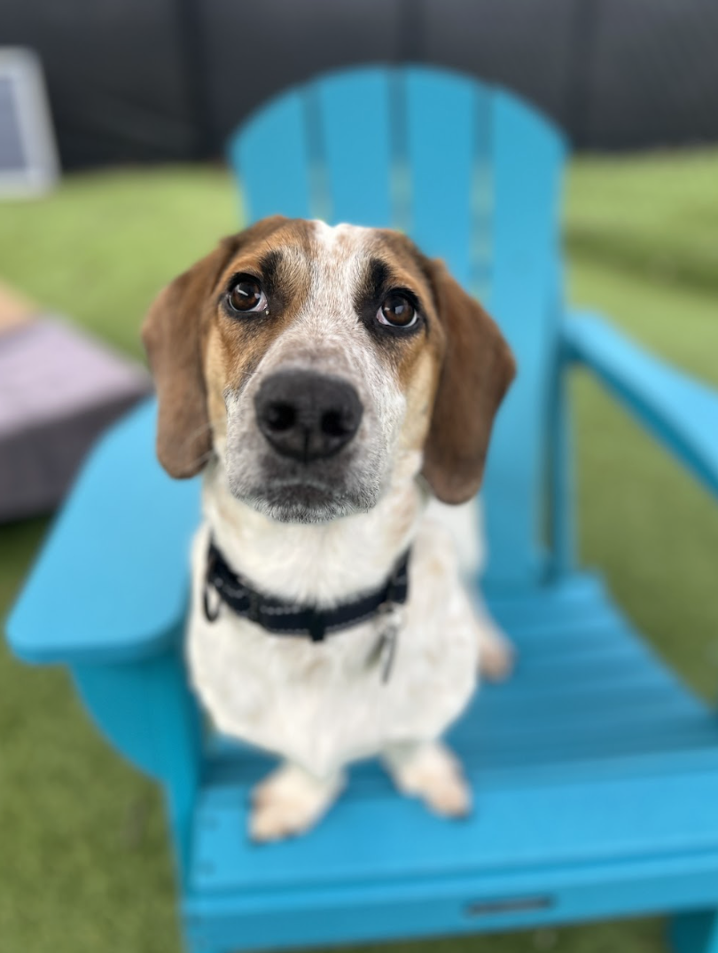 Screenshot 2026-02-05 at 2.25.05 PM.png