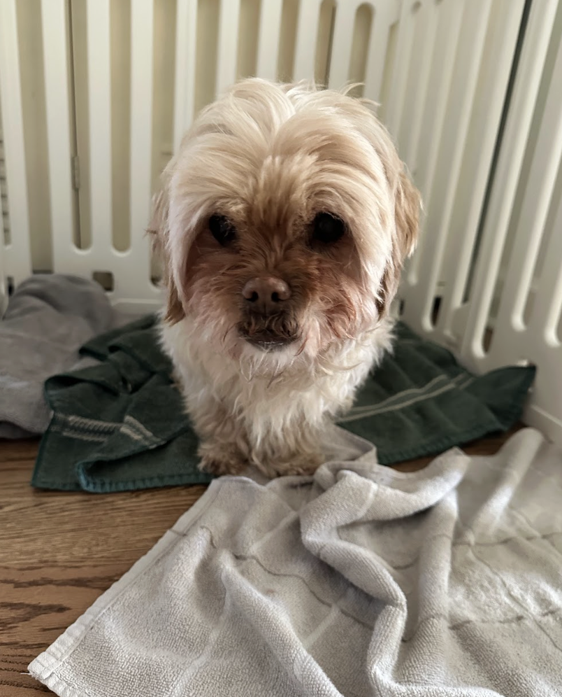 Screenshot 2026-03-06 at 2.47.25 PM.png