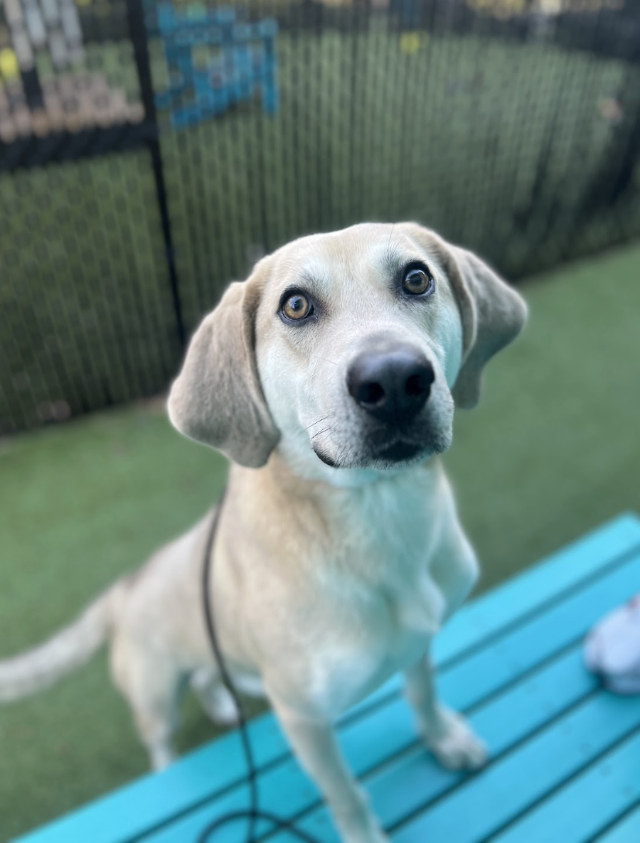 Screenshot 2026-02-27 at 6.27.25 PM.png