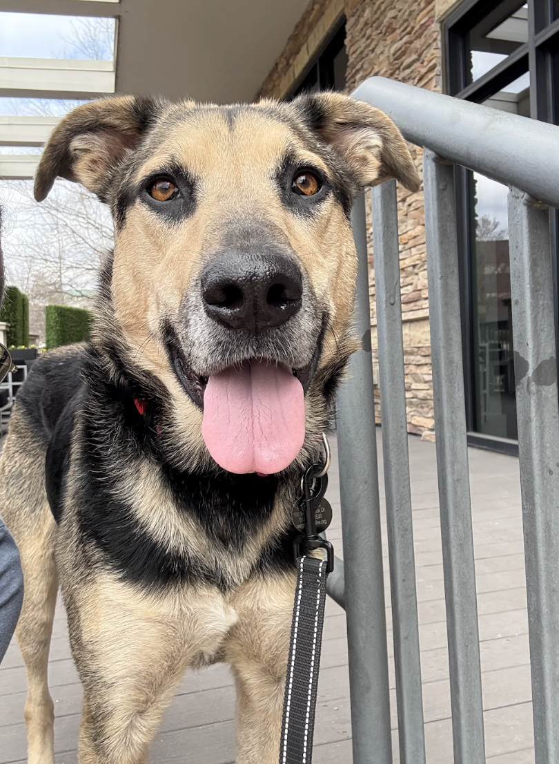 Screenshot 2026-04-14 at 7.27.11 PM.png